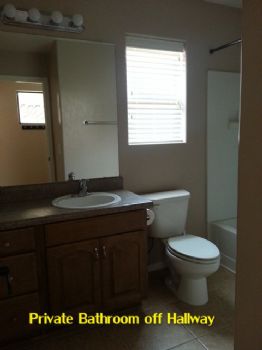 TinyBulldog profile photo