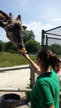 maddym profile photo