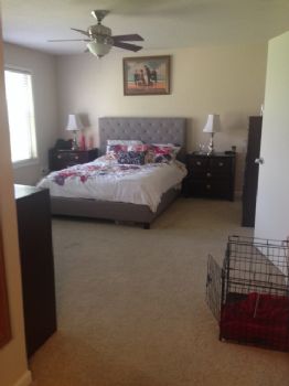 LoloCo profile photo