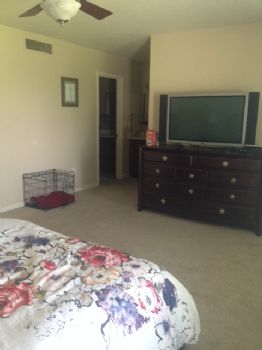 LoloCo profile photo