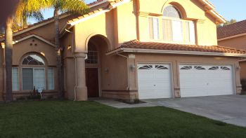 PGO1728 profile photo