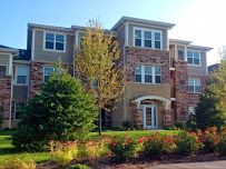 lizschmidt03 profile photo