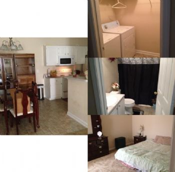 neve820 profile photo