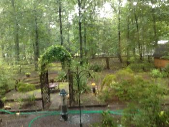 catlvr profile photo