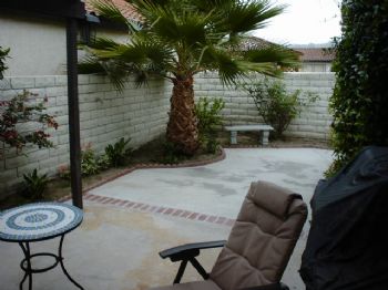 salsoltani profile photo