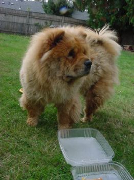 Rita13 profile photo