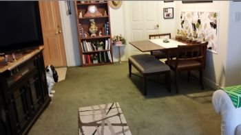 richbette profile photo