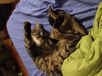 rachNappa profile photo