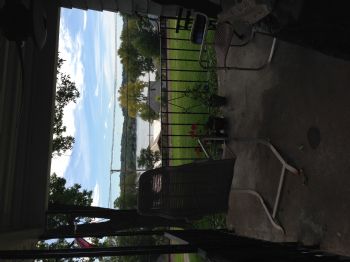 music1234 profile photo