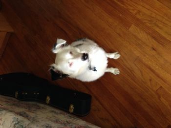 music1234 profile photo