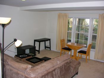 MikeyJ profile photo