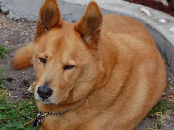 mike1220 profile photo