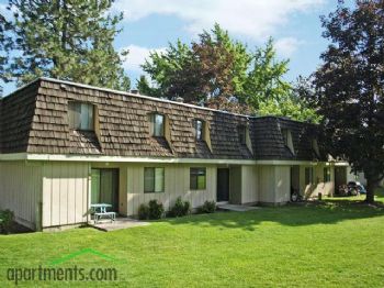 dmayaa profile photo