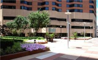 Mlle_Reinatu profile photo