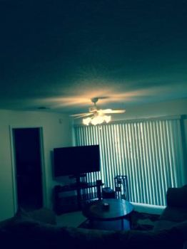 markvr profile photo