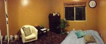 staceynov profile photo