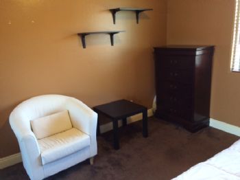 staceynov profile photo