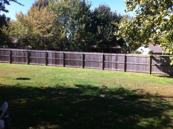 anmattox profile photo