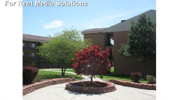 Dewit4fun profile photo