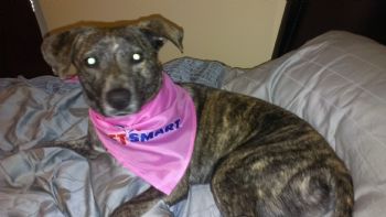 Crispytina profile photo