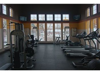 zendarx profile photo