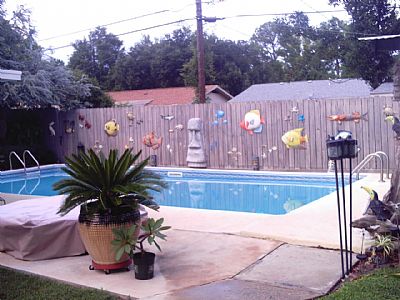 BiloxiBo profile photo