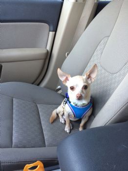 jordanelyse profile photo