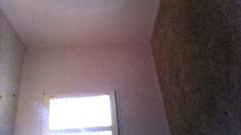 nessagee profile photo