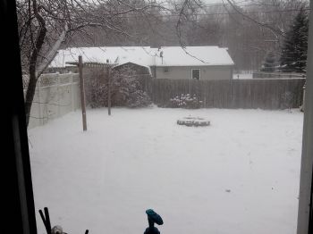 mitch2245 profile photo