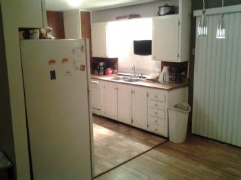 dsbauer_404 profile photo