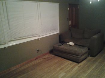 dsbauer_404 profile photo