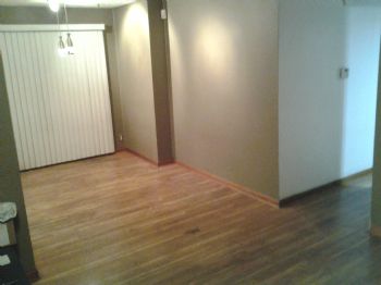 dsbauer_404 profile photo