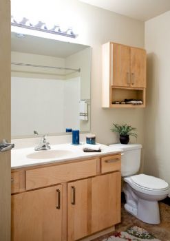 wiscobadger9 profile photo