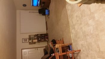 tazwicke profile photo