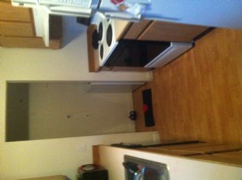 reptarking profile photo