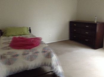 dsankara profile photo