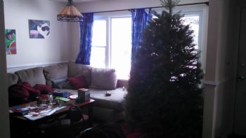 sboddorff profile photo