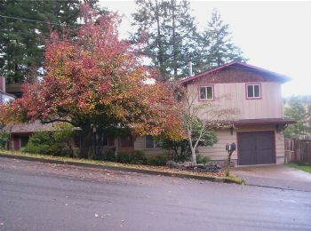 Dandilion profile photo