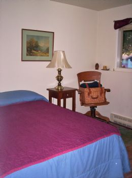 Dandilion profile photo