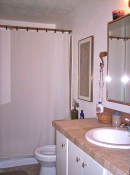 Dandilion profile photo