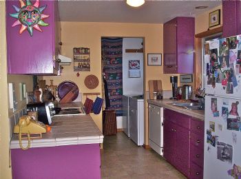 Dandilion profile photo