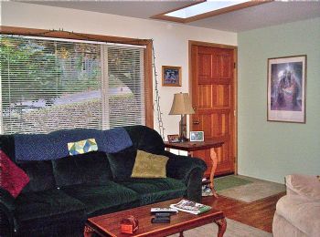 Dandilion profile photo