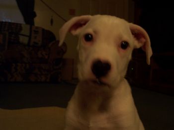 Jeanagirl profile photo