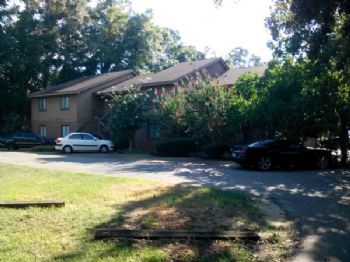 Archis profile photo