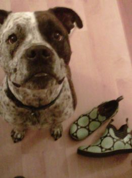 Joseph4501 profile photo