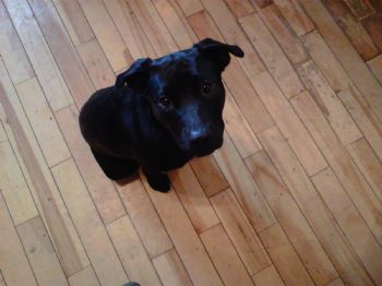 Joseph4501 profile photo