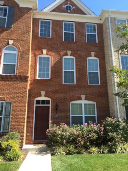 Cardiacolt profile photo