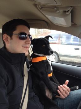 froatsdan profile photo