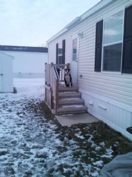 njrose profile photo