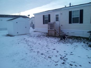 njrose profile photo